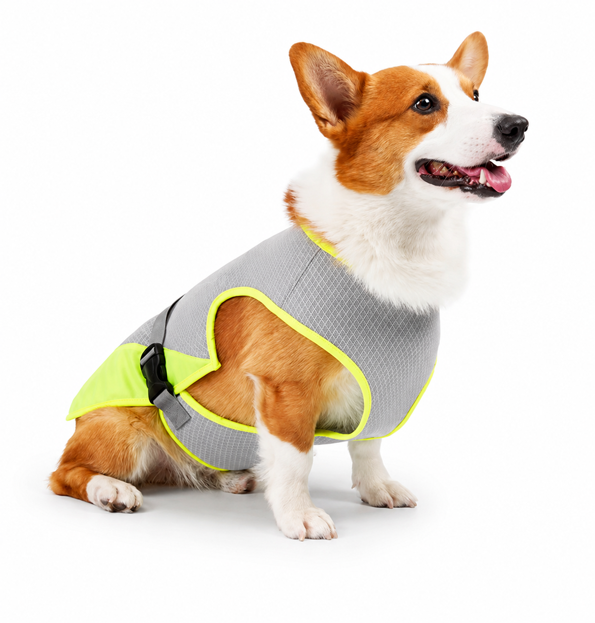 Gilet Rafraîchissant pour Chien — Veste Légère Été
